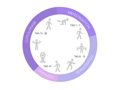 Richtig trainieren während des Zyklus